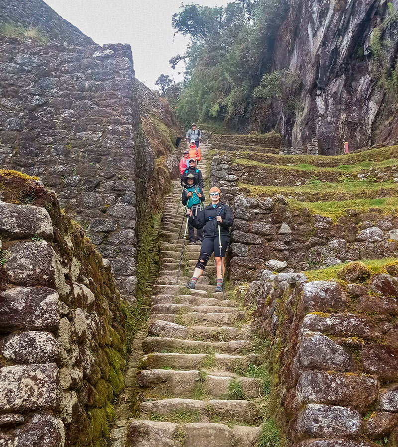 Stair in the Inca Trail