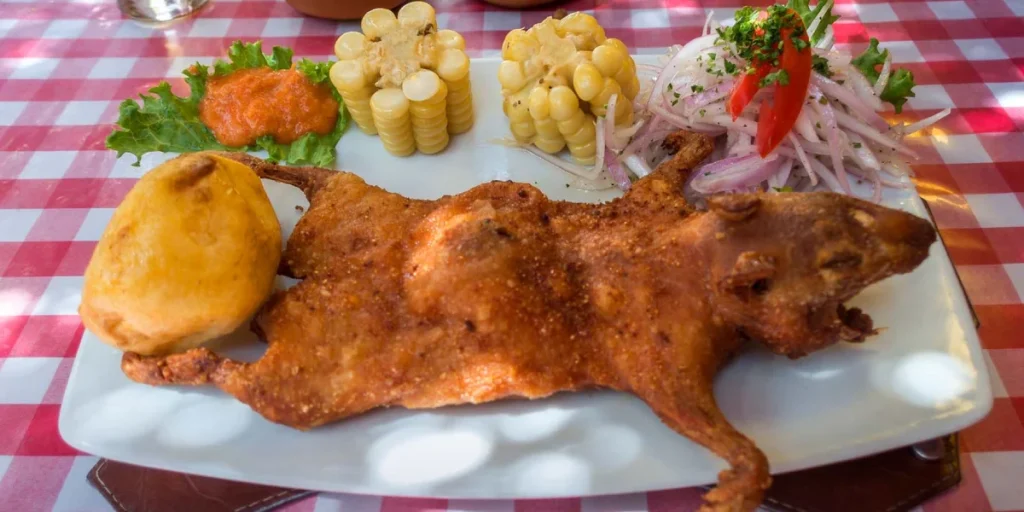 Cuy (Guinea Pig)