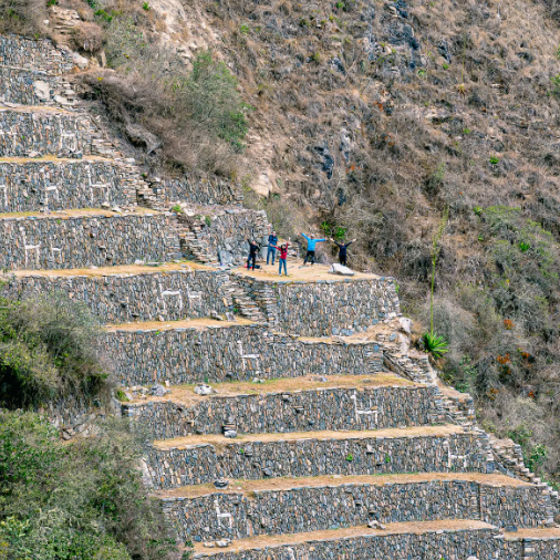 White quartzite stone llama figures embedded into dark agricultural terrace walls at Choquequirao ruins.